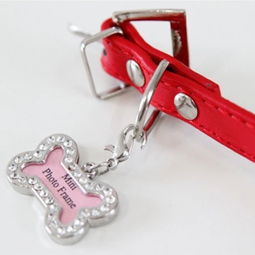 Прочный в форме кости имя питомца ярлык адрес подвеска собака щенок Мини