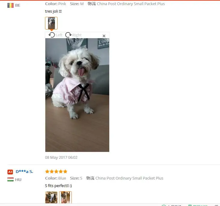 Лучшее качество мода часть собака рубашка хороший галстук-бабочка очень милая