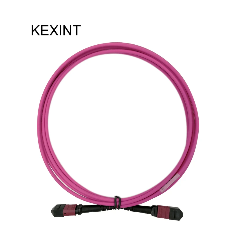 KEXINT волоконно-оптический патч-корд MTP-MTP OM4 24 ядра 40G волоконные патч-кабели/3 метра