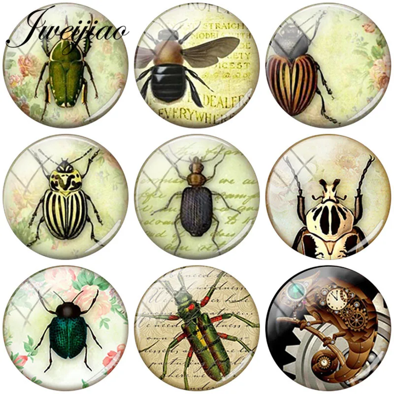 

JWEIJIAO Insect Images DIY Round Glass Cabochon Pendant 12mm,15mm,16mm,18mm,20mm Glass Dome Jewelry Accessories