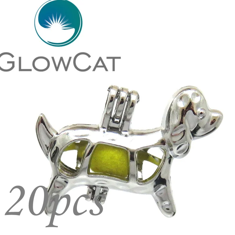 

20x KK583 клетка с бусинами для щенков эфирное масло диффузор жемчужная клетка ювелирные изделия кулон для устриц жемчуг