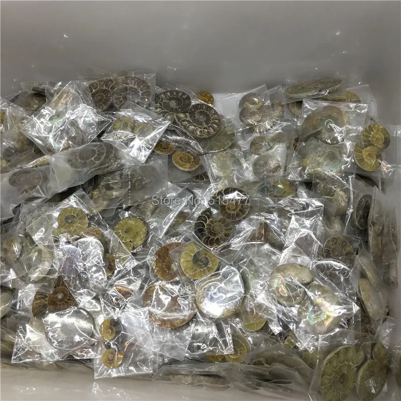6 шт. натуральный Радужный раздельный аммонит разрезанный попополам из