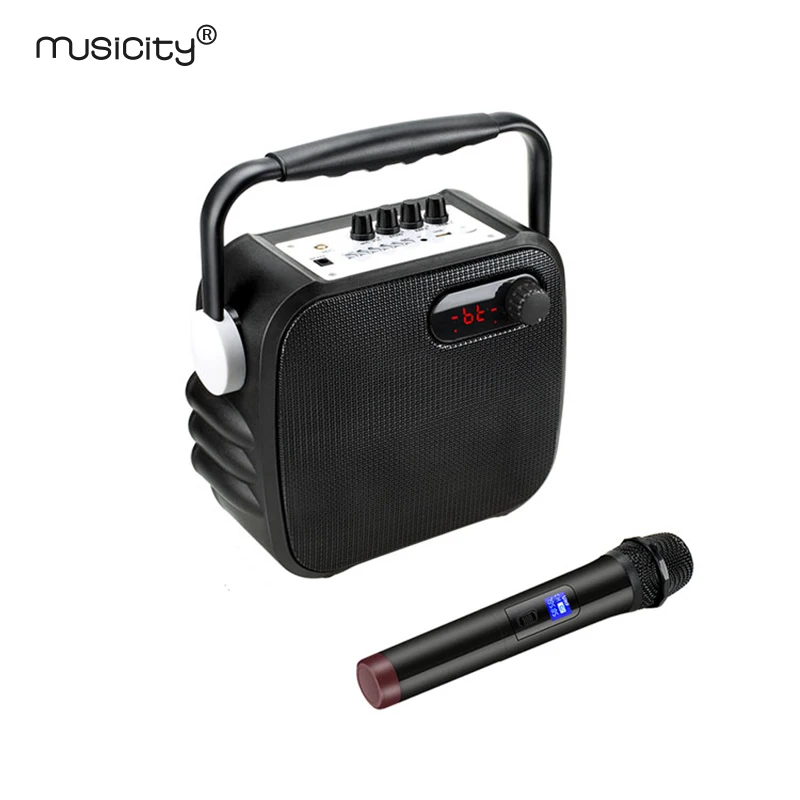 Musicity портативный PA Professional караоке Bluetooth динамик системы со звуком усилители