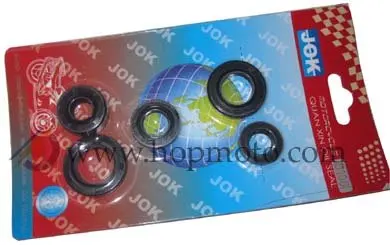 

110cc Engine Oil Seal