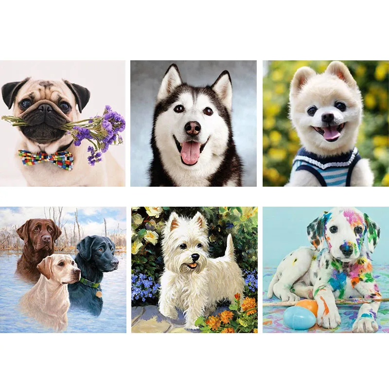 Animal Puppy Dog 5D Diy Diamond Painting Square Rhinestone Cross Stitch Mosaic Embroidery Resin Needlework Art | Дом и сад