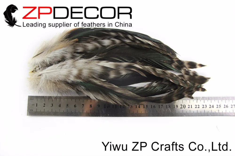 ZPDECOR 200 шт./лот 15 20 см (6 8 дюймов) ручной выбор красивые уникальные натуральные и