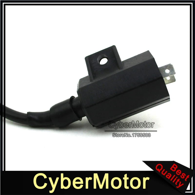 Катушка зажигания ATV для Suzuki LT80 LT230H LT250S LTF250 LT4WD Honda TRX200 Kawasaki BN125 KVF700 KLF220 KLF250 KVF400 KLF400 |