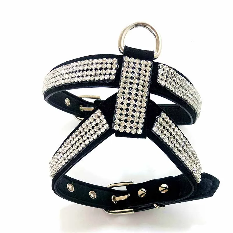 Ошейник для маленьких собак и кошек из кожи | Дом сад