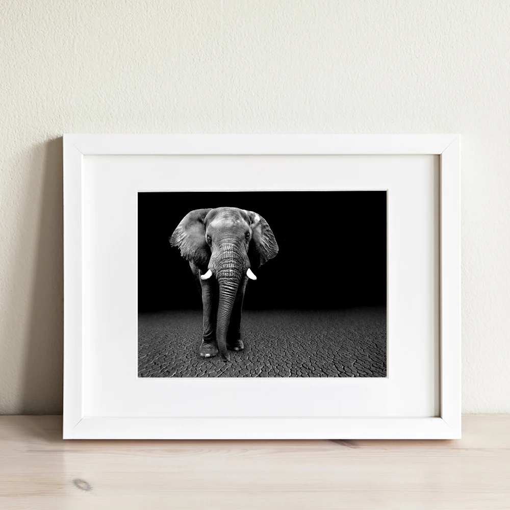 Allenjoy black and white pictures elephant desert Nordic style animal canvas paintings modern wall art paints decorative posters | Дом и сад