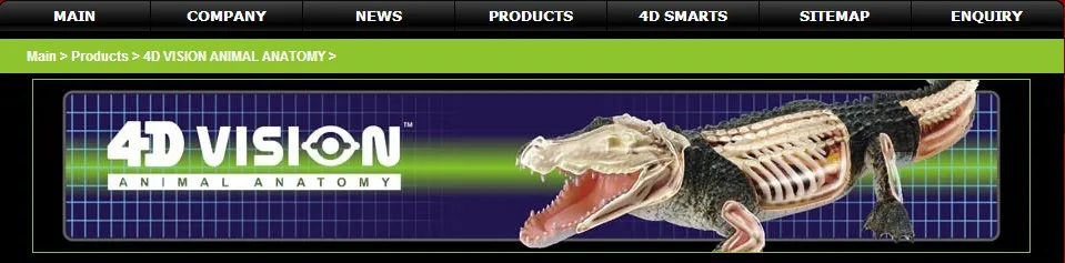 4D мастер курица полный skeletion забавная Анатомия мужской член медицинский человеческий череп анатомическая модель скелета научная развивающая игрушка