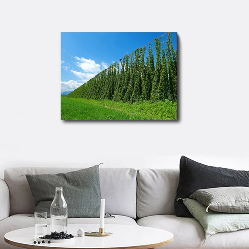 Blue Sky Green Grass Plants Countryside Unique Gift Wall Decor No Frame Art Pictures Printed For Home Decoration Mural Wallpaper | Дом и сад
