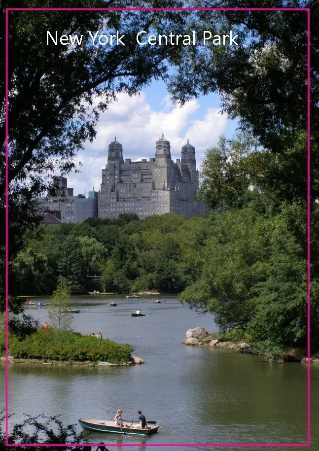 

USA Travel Magnets Gifts , United States New York Central Park Rectangle Metal Fridge Magnet 5308 Travel Memorabilia