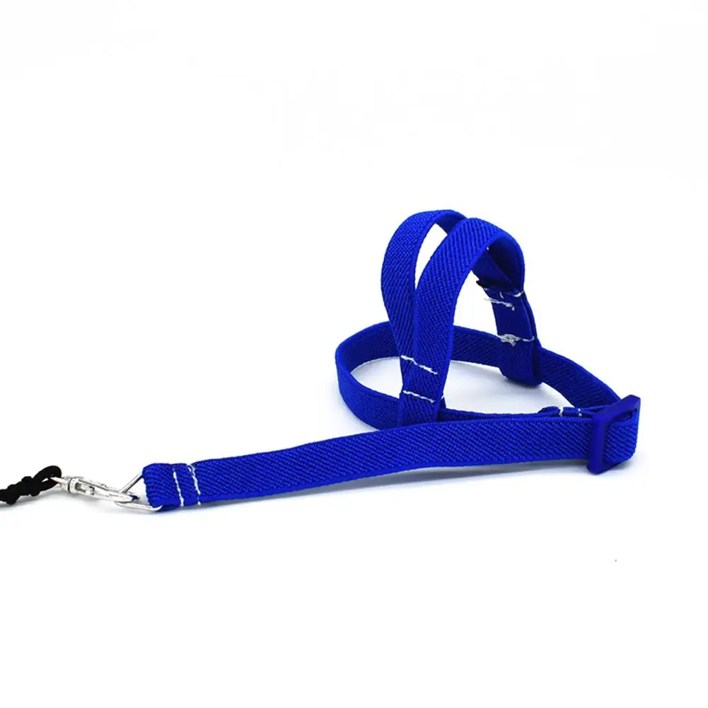 Blue ПЭТ Птица Попугай шлейка и поводок птичий канат тренировочные принадлежности безопасный Регулируемый птица аксессуары зеленый розовый синий доступны - Цвет: Blue