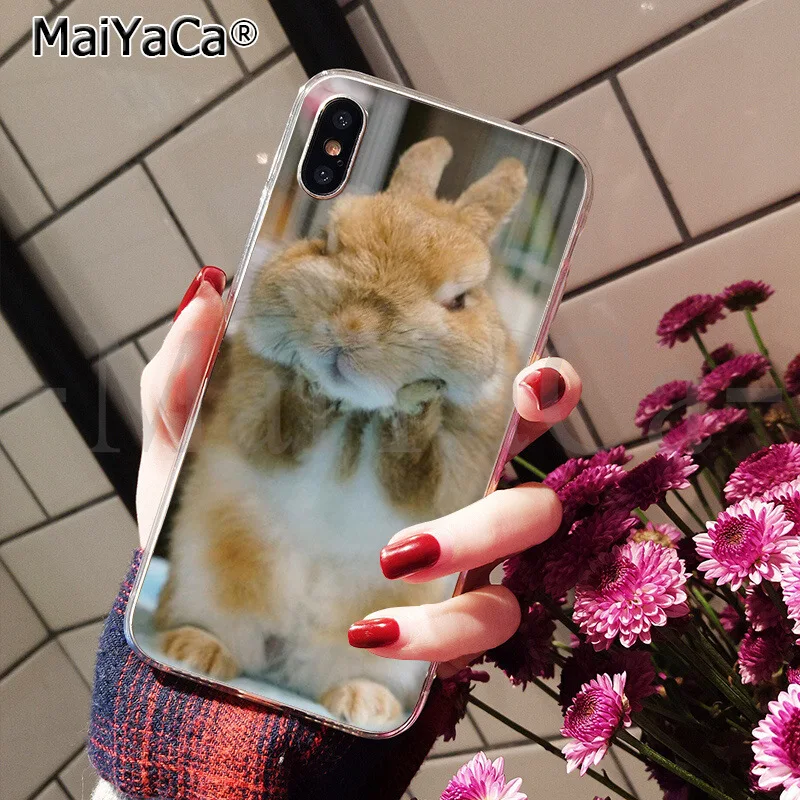A15 MaiYaCa, мягкий чехол для телефона из ТПУ с милым рисунком кролика, кролика, для Apple iPhone 8, 7, 6, 6S Plus, X, XS, MAX, 5, 5S, SE, XR - Цвет: A15