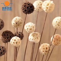 6pcs 3 color available natural dried flower bouquets natural dried maituo rom bouquets mai tuo luo bunches