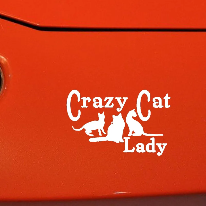 YJZT 15 5 см * 9 виниловые наклейки с изображением Crazy Cat Lady забавные автомобильные