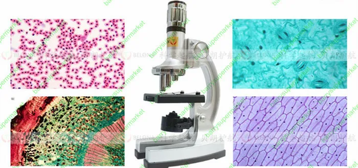 Fun Zoom Student Education Biological Microscope 1200X with projection | Инструменты
