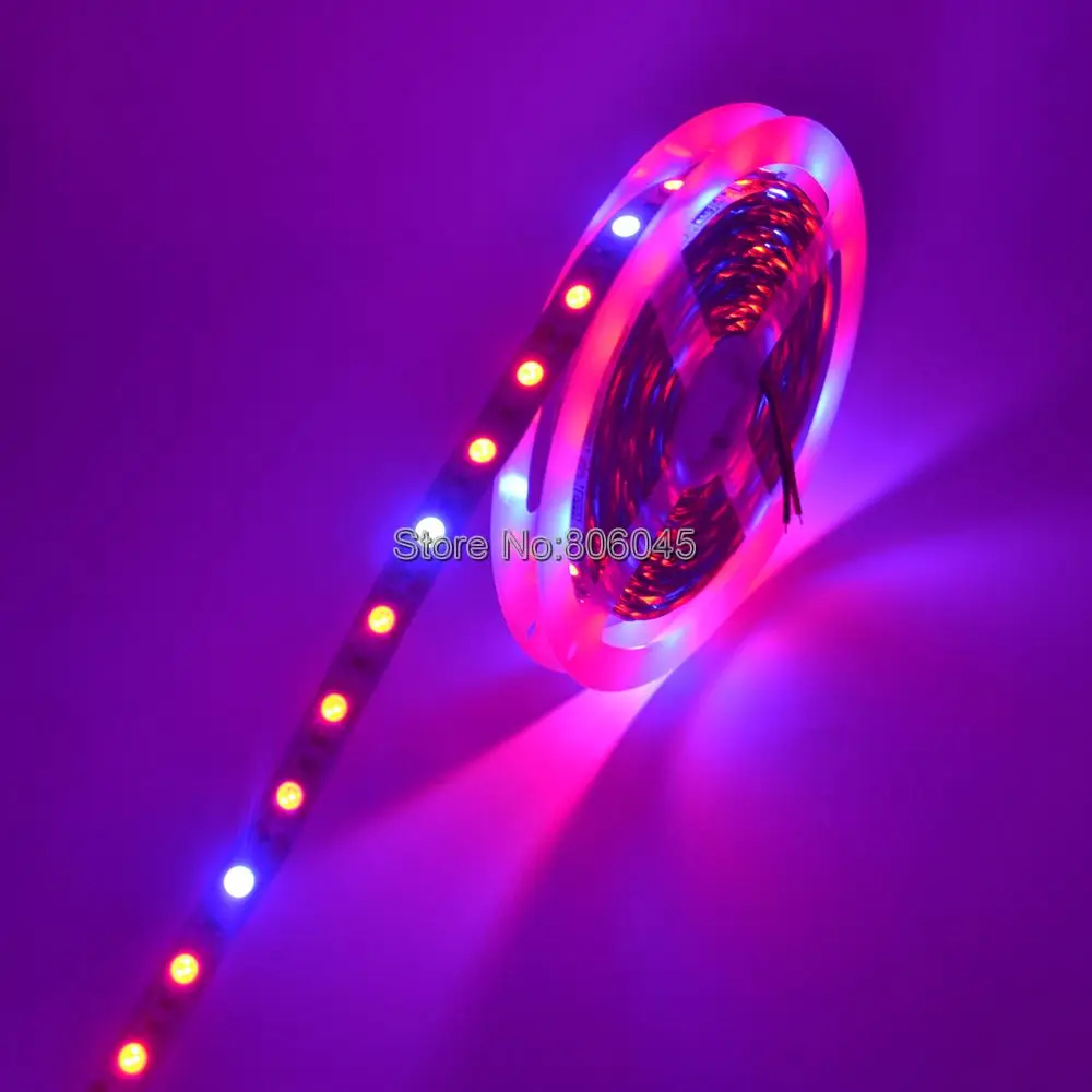 Фитолампа полного спектра 12 В постоянного тока 5 м светодиодная ленсветильник