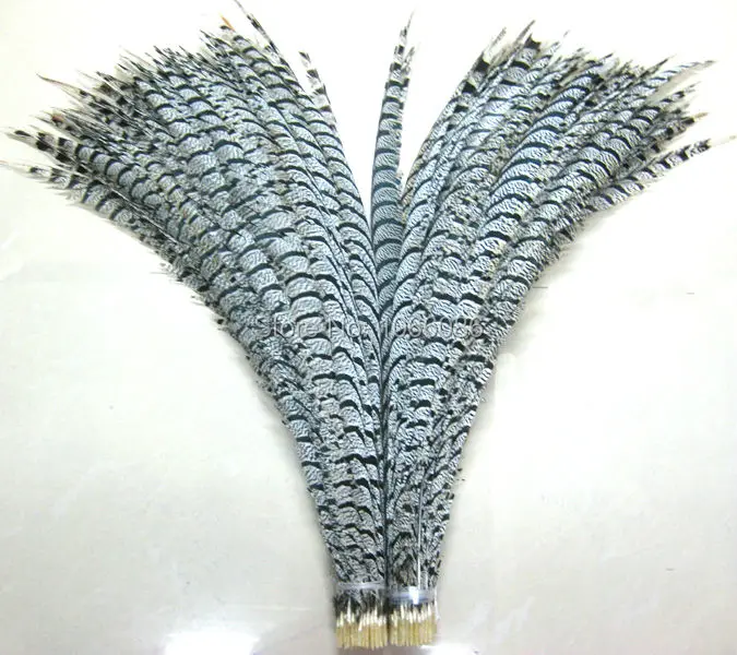 

EMS free shipping 80pcs 30-35inch 80-90cm 8colors Natural pheasant tail feather,Lady amherst side tails,pheasant feather