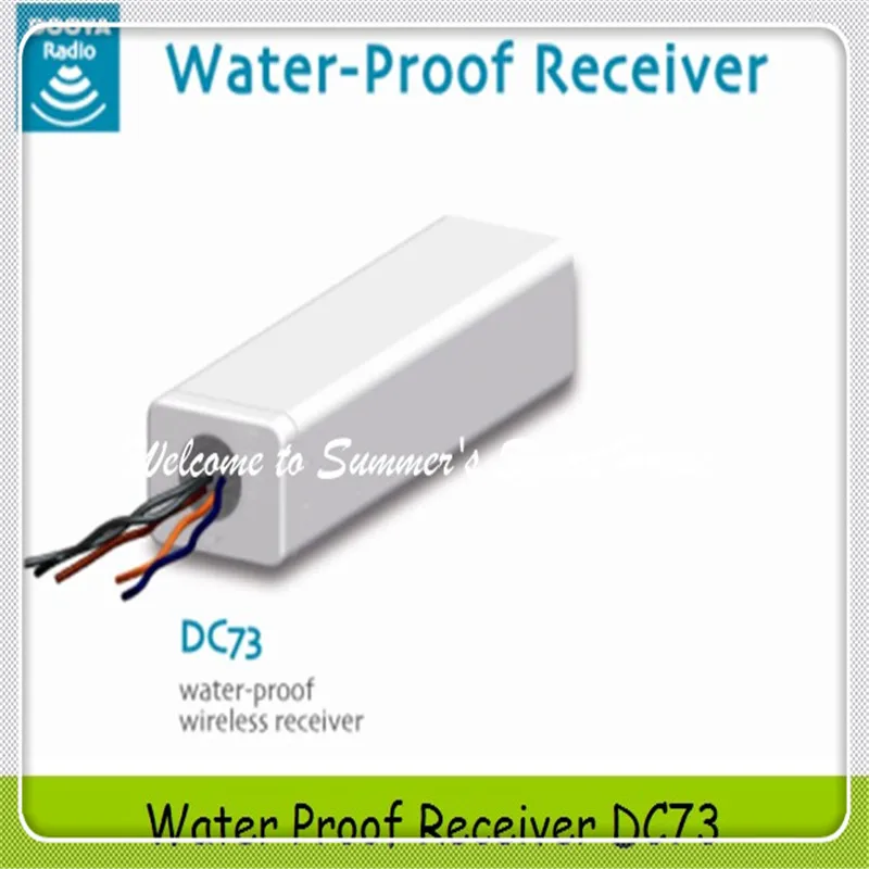 Бесплатная доставка через China Air Post Control System водонепроницаемый приемник DC73/DC73A |