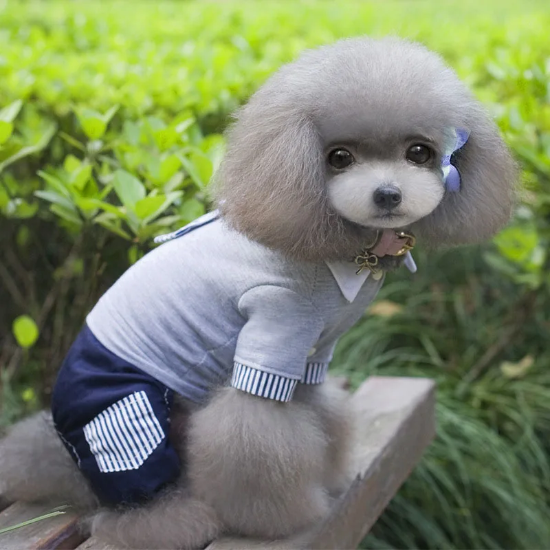 Модная одежда для маленьких собак и кошек хлопковый костюм котят толстовки серых