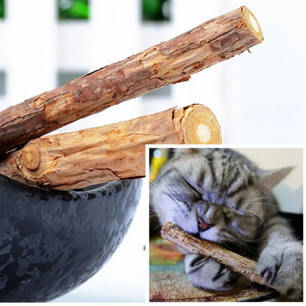 2 шт. Горячая натуральная Matatabi Polygama Catnip молярная Жевательная палочка для домашних