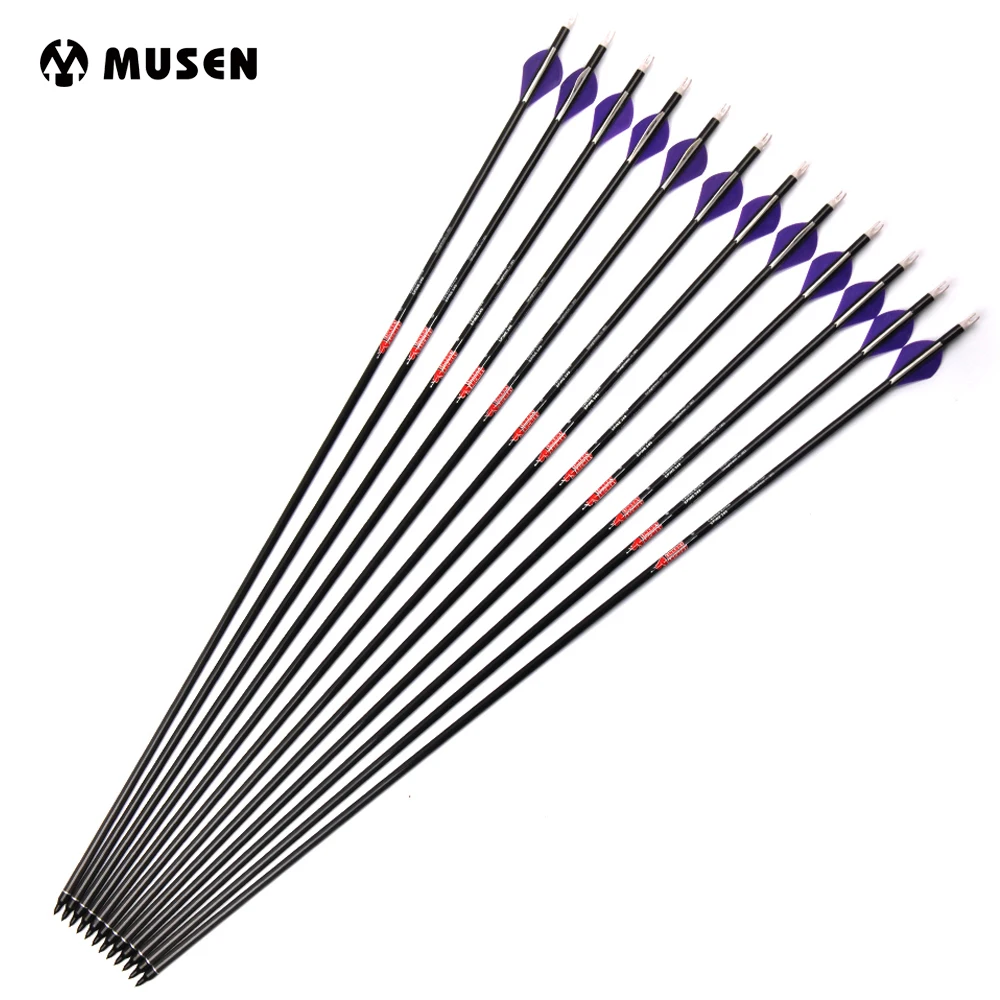 

30.5 inches 7.6mm Spine 340 Pure Carbon Arrow With 2" Plastic for Compound Bow Archery Hunting Shooting