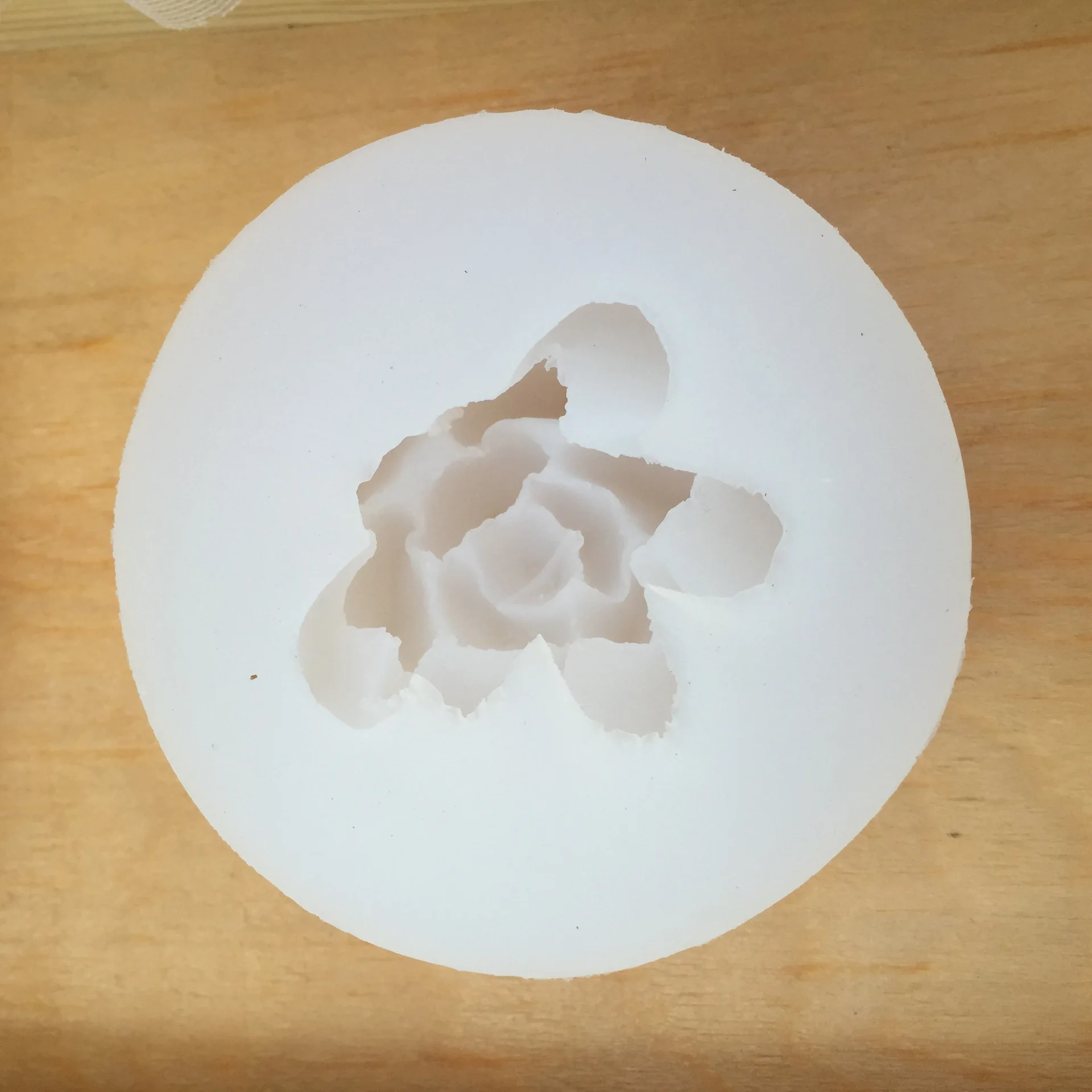 Суккулент для растений 3D кактус цветок гипсокартон ароматерапия силиконовая