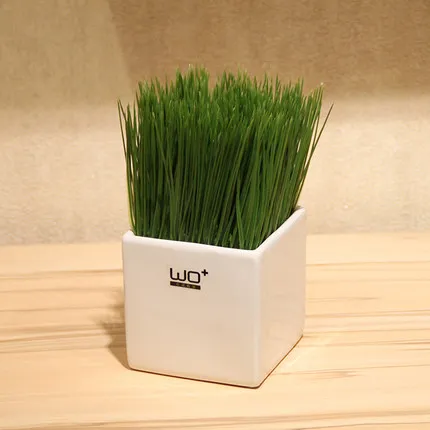 A003 22x10cm Новые свежие зеленые искусственные цветы растения в горшках керамическая ваза для бонсай в горшках домашний декор вечерние принадлежности Свадебные украшения - Цвет: A003 22x10cm