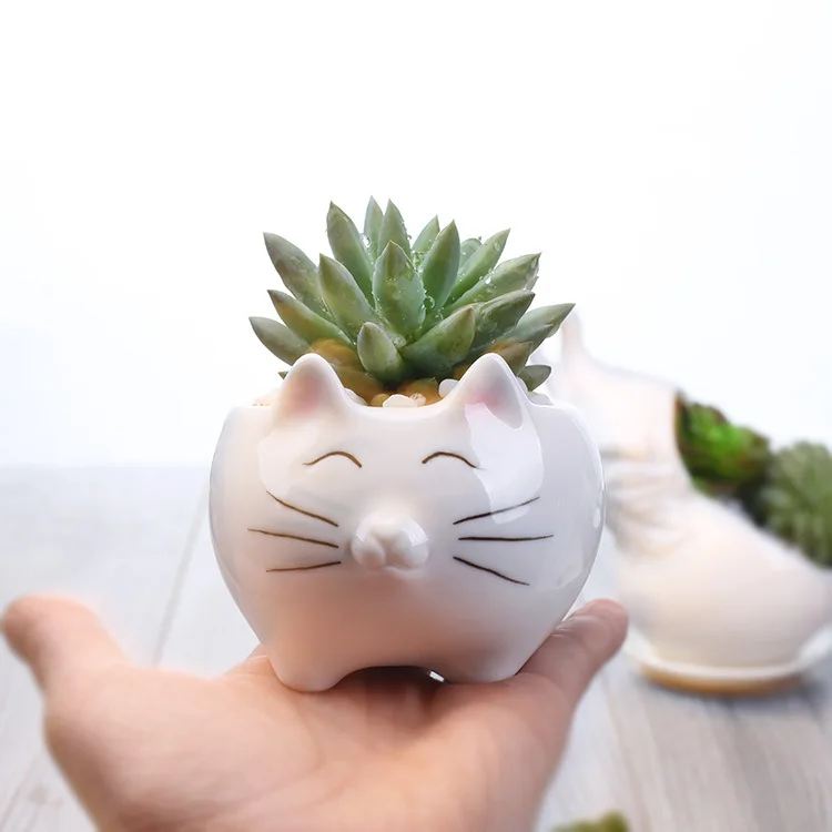 Милый мультфильм животное кошка в форме керамический сочный кактус цветочный