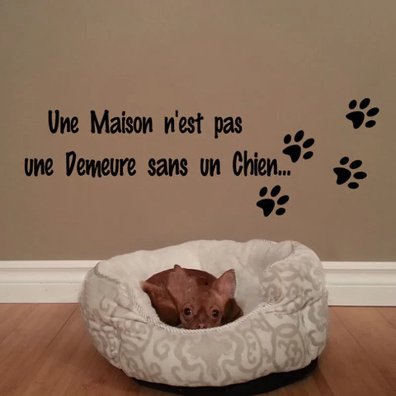 Бесплатная доставка Lettrage Une дом n'est pas une demeure sans un chat наклейки на стену собачий