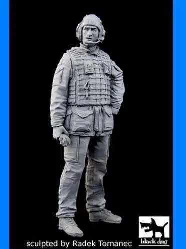 

1:35 Resin kit Modern U.S. military 295