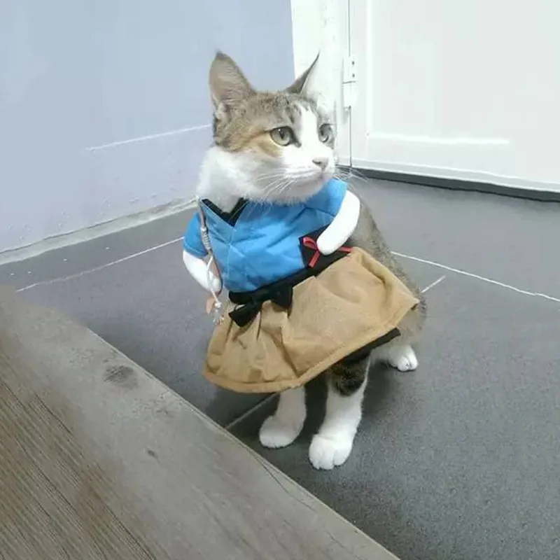 Смешной костюм кошки Форма Костюм Кошки Одежда Щенок одевания для вечеринки