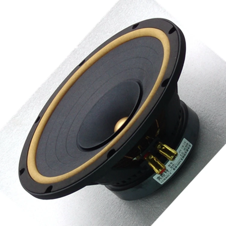 Hf 047 Hi Fi Динамик s 10 дюймов полный спектр симметричный магнитной цепи Кожа Краями