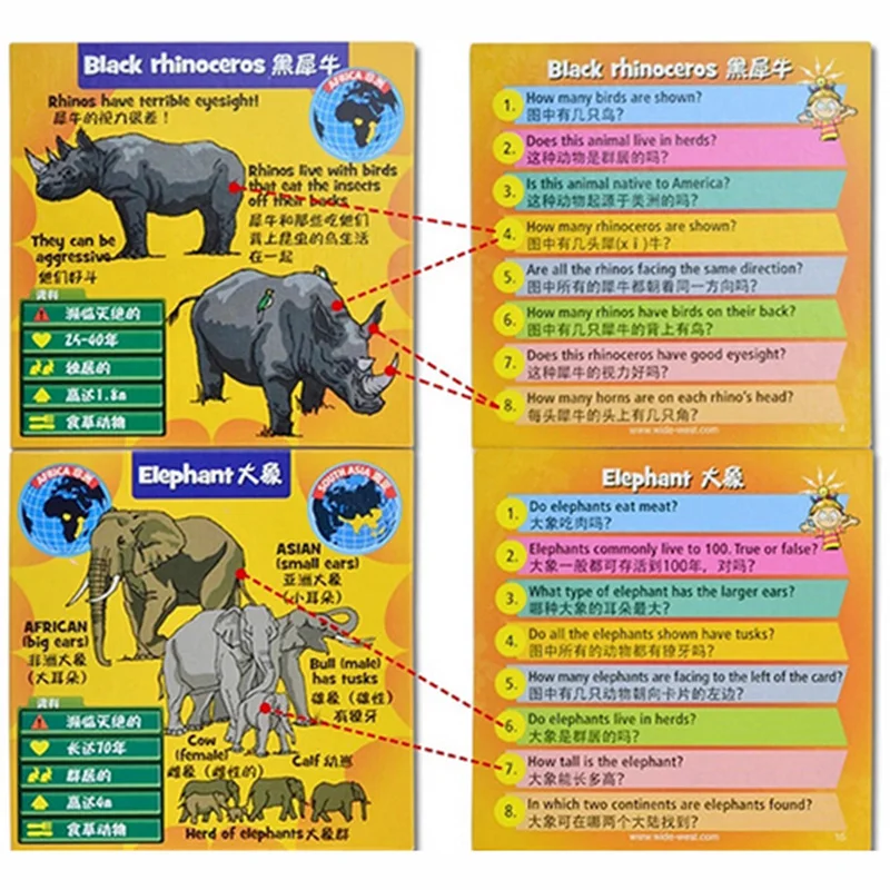 BroinBox: Животные Настольная Игра Смешно Карт Игры Английское Издание Для Детей