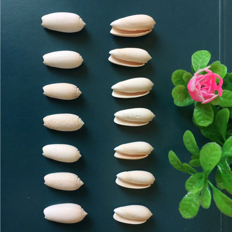 Природные раковины каракола ремесла отшельник Краб аквариума украшения