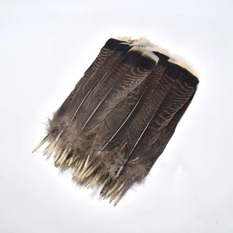 

wholesale pieces of high quality natural eagle feathers 25-30cm/10-12 inches featured excellent DIY Jewelry Headwear decoration