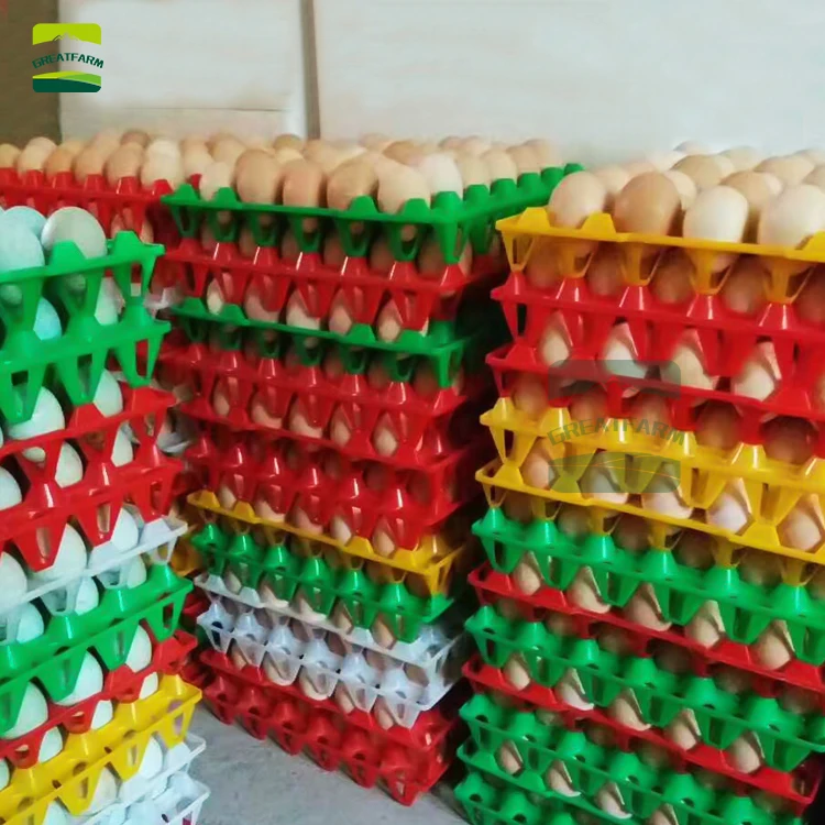 Контейнер для хранения куриных яиц контейнер 10 шт. 30 | Дом и сад