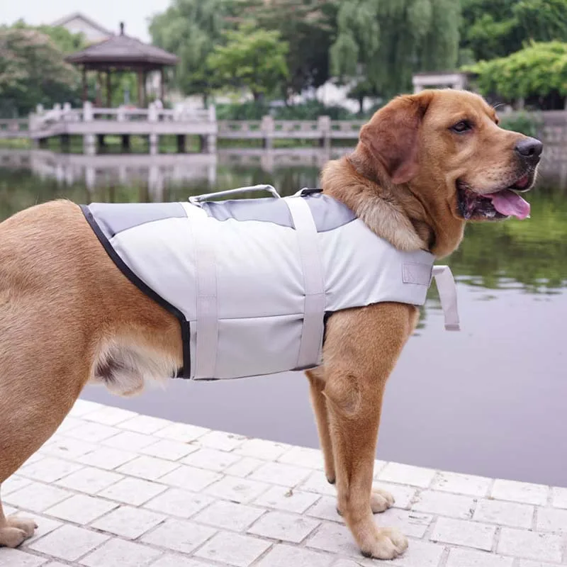 New Fashion Simple Pet Dog Coat Waterproof Warm Swimsuit Safety Swimming Training Jacket for Dogs Golden Retriever XS-XL 20E | Дом и сад