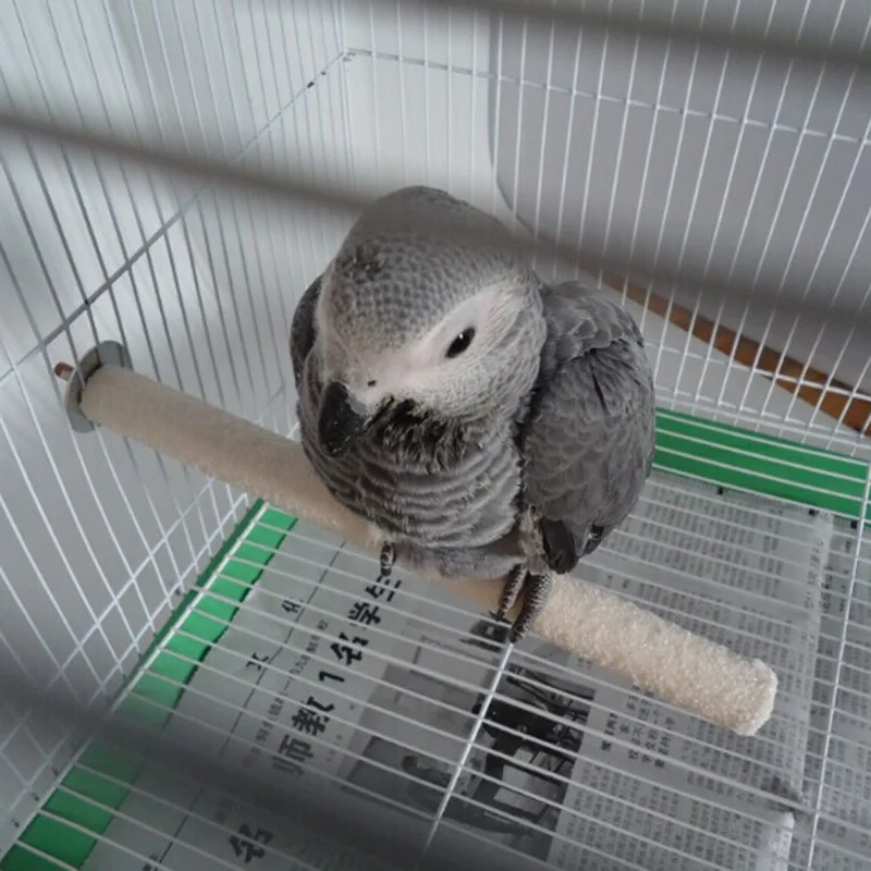 Розничная продажа птиц когти шлифовальная станция полка домашние попугаи стойка