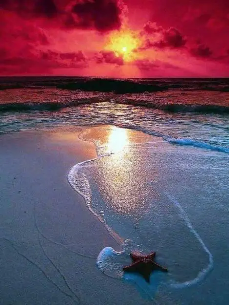 Sunset Beach круглый | Дом и сад
