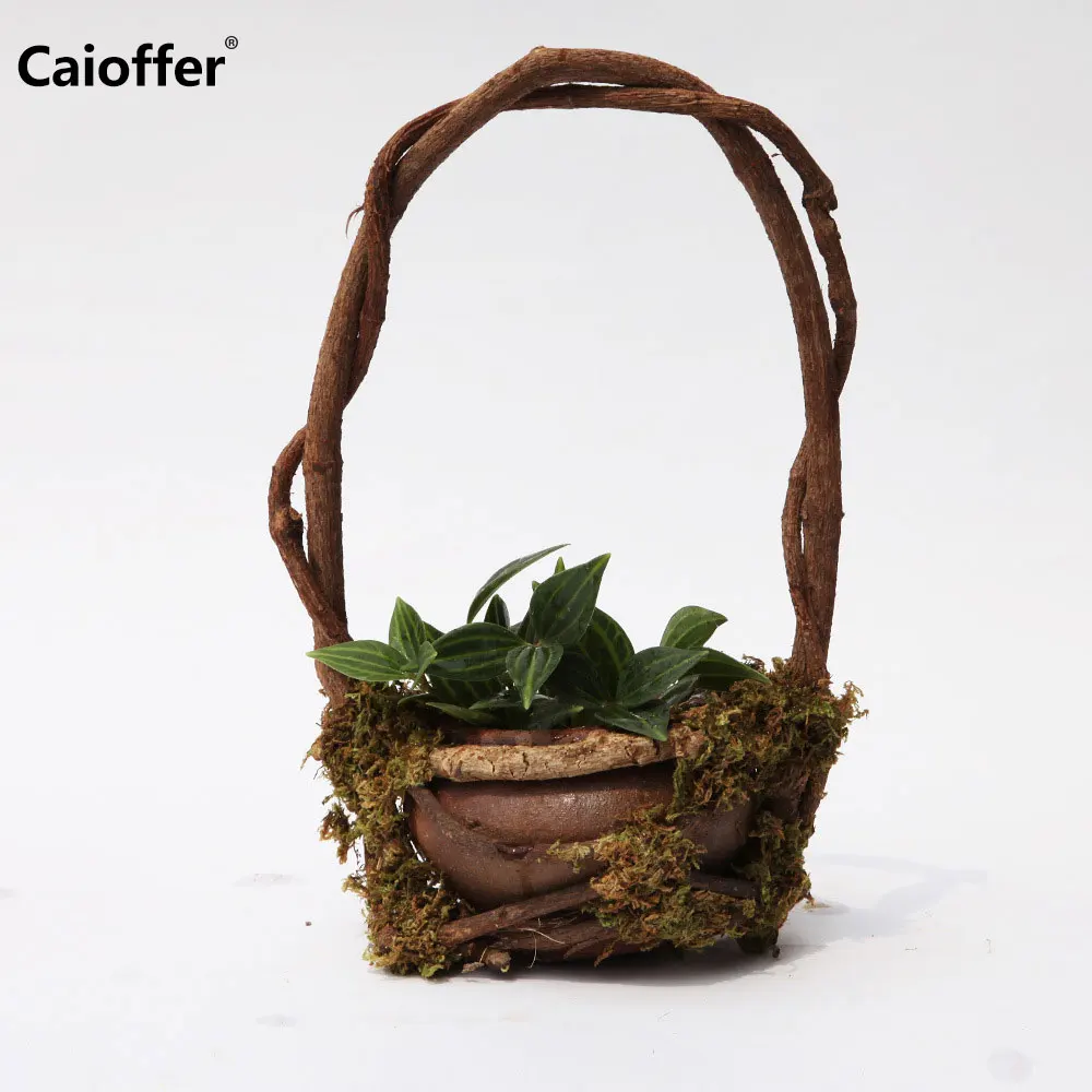 Caioffer ручной работы ветка деревянные цветочные горшки виды сада оформление балкона деревянный цветочный горшок подставка для растений суккулентная плантатор