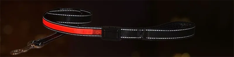 Бесплатная доставка флуоресцентные светоизлучающие поводки FD54 USB зарядка для