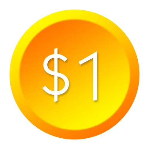 Дополнительная плата/плата только за баланс вашего заказа/стоимость доставки 1