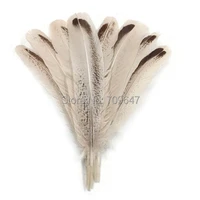 feathers for crafts50pcslot8 12inches 20 30cm long wild turkey feathersroyal palm wild turkey rounds wing quill feathers