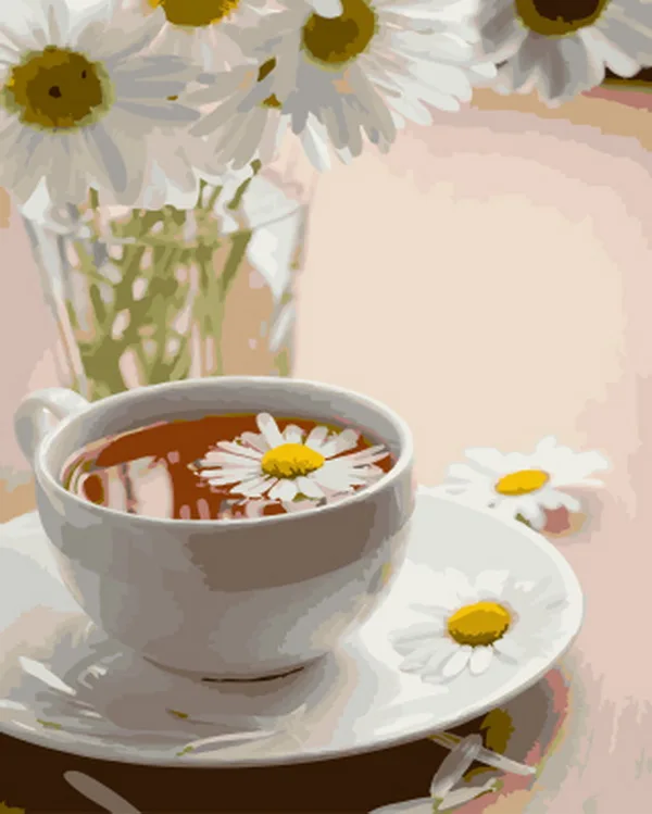 Выполненные живописи по номерам Настенный декор diy картина маслом на холсте для