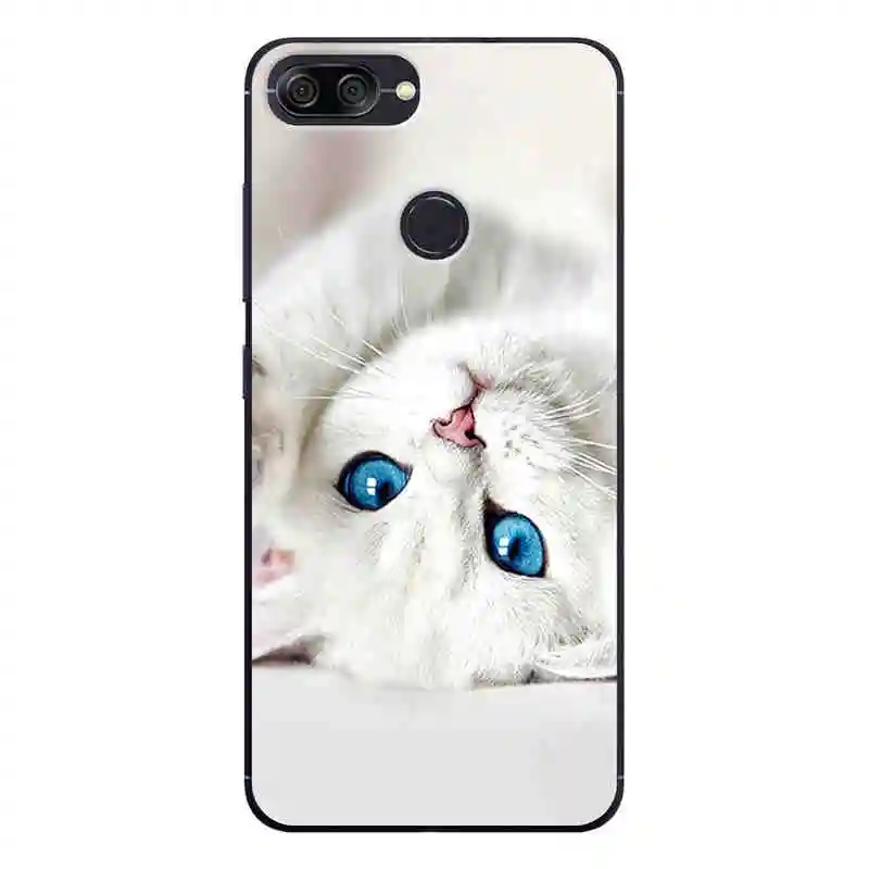 For ASUS ZenFone Max Plus M1 ZB570TL Case Phone Back Cover Painted Asus 5.7" Protection Shell Fundas |