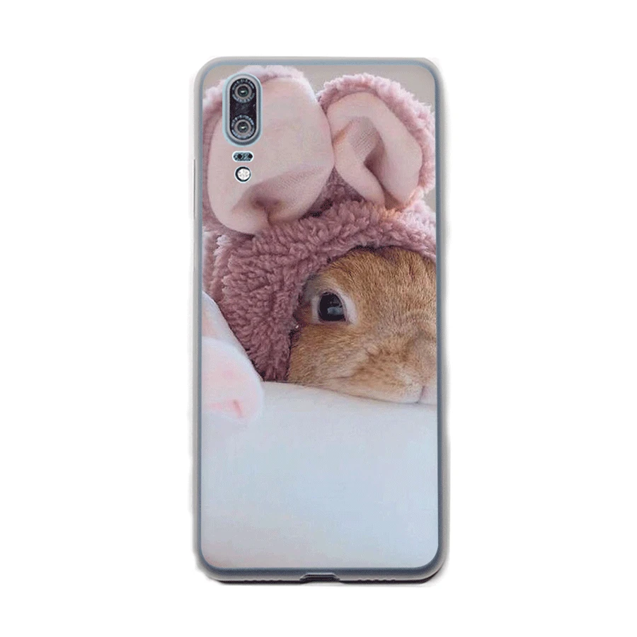 H10 Desxz милый зайчик чехол для телефона для samsung Galaxy A10 A30 A40 A50 A70 M10 M20 M30 Примечание 8 9 крышка - Цвет: H10