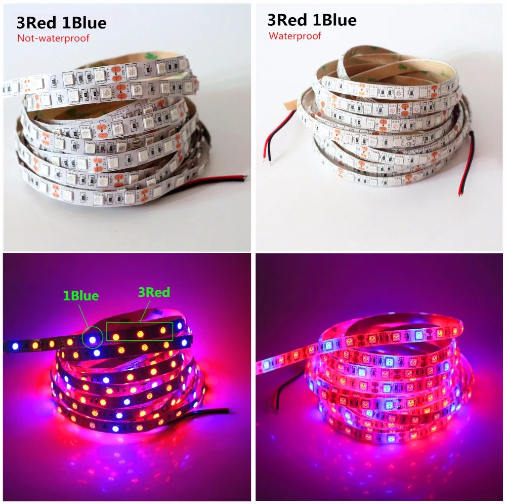 Светодиодная лампа для выращивания растений 1 м 2 3 4 5 SMD 5050 DC12V гибкая светодиодная