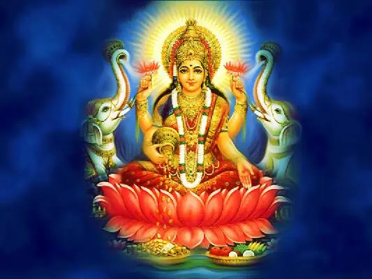 TOUOILP 5D Сделай Сам 5d Lakshmi Алмазная картина полный 5d алмазная вышивка распродажа набор крестиков Стразы мозаика садовый декор - Цвет: 12